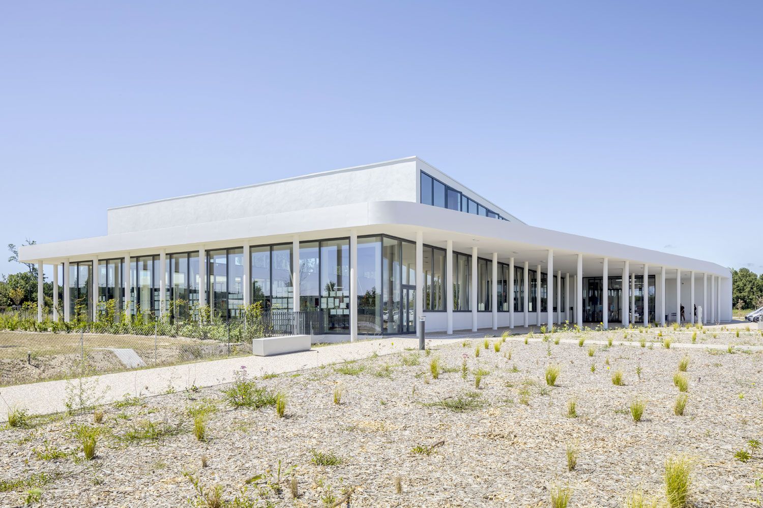 AMO : un métier essentiel en évolution